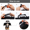 Cat Dog Halloween Costume Cat Bat Wings and Bell  Pet Bat Costume Dress Costume Outfit Wing for Small Dogs and Cats